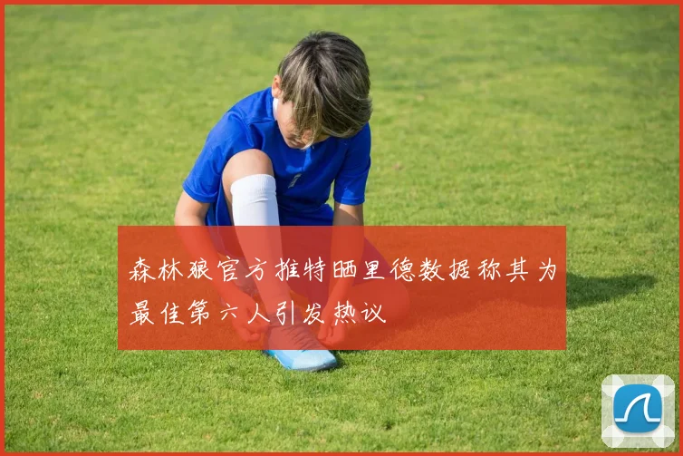 森林狼官方推特晒里德数据称其为最佳第六人引发热议