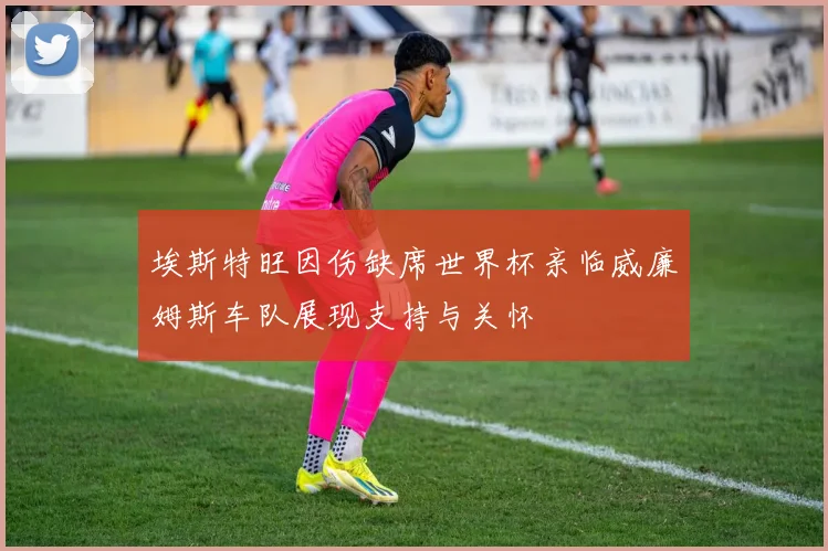 埃斯特旺因伤缺席世界杯亲临威廉姆斯车队展现支持与关怀
